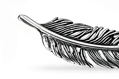 Silver Feather Brooch SA395400410 1