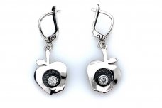 Earrings with Cubic Zirconia A2646500470