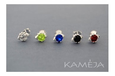 Earrings with Cubic Zirconia A2304400170