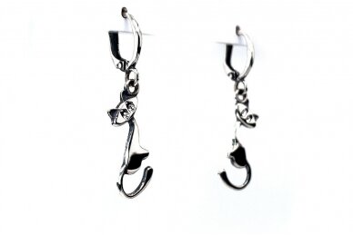 Earrings with Swarovski Crystal A2263400290