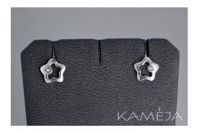 Earrings with Swarovski Crystal A3006500110 1