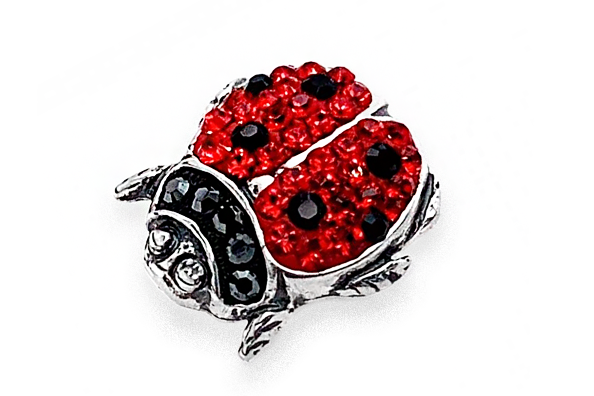 Segė Boružėlė su Swarovski kristalais 1 Segė Boružėlė su Swarovski kristalais 1