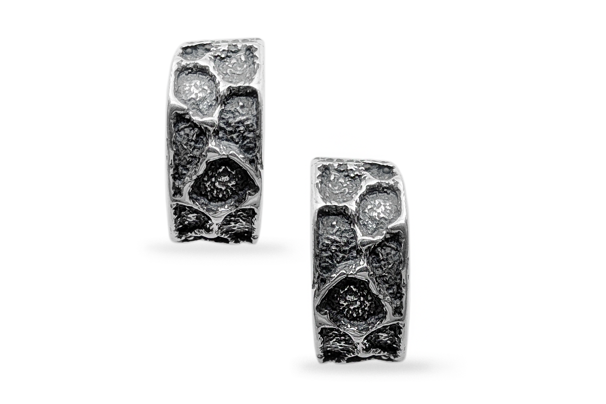 Silver earrings 1 Silver earrings 1