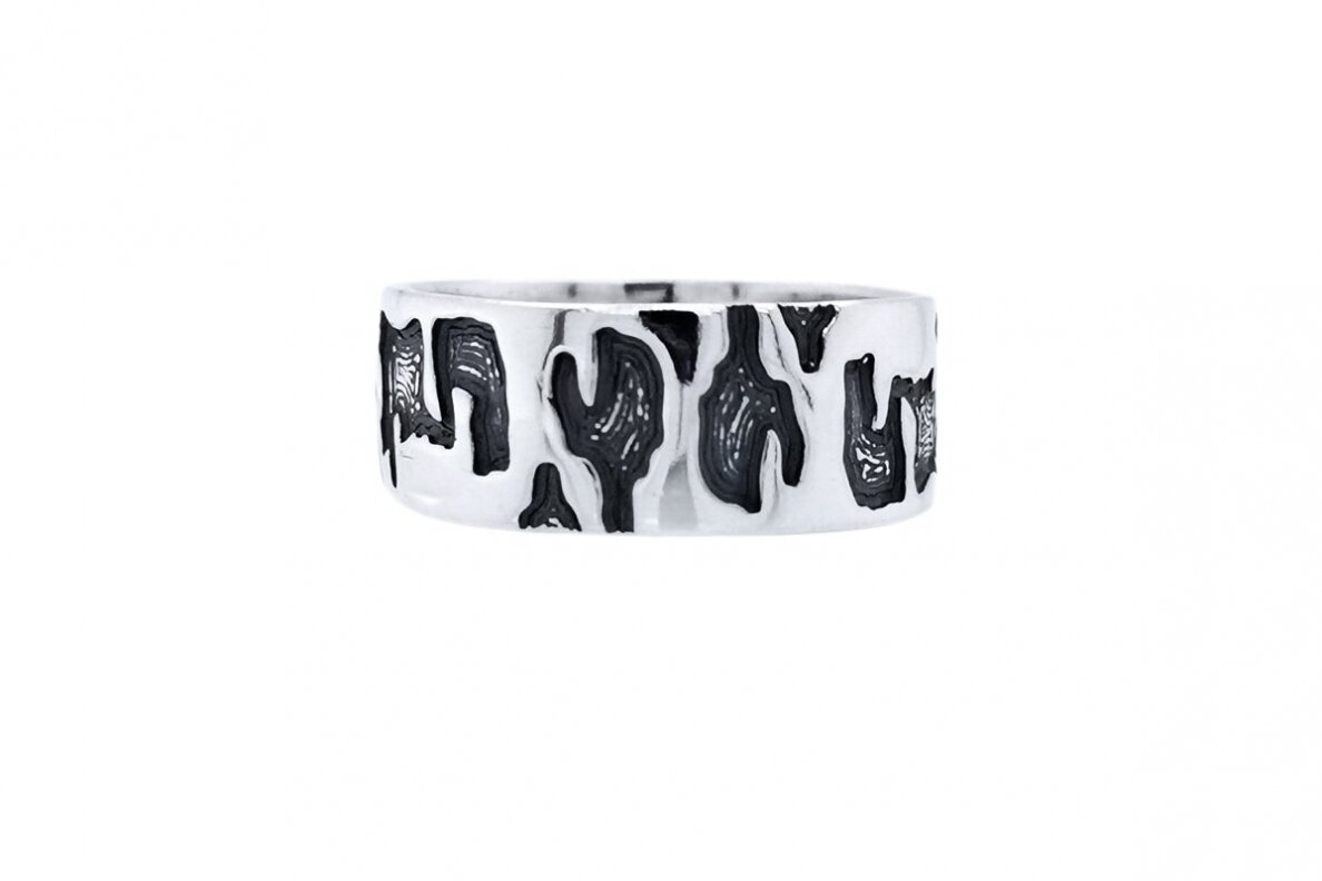 Silver Ring Z0000300480