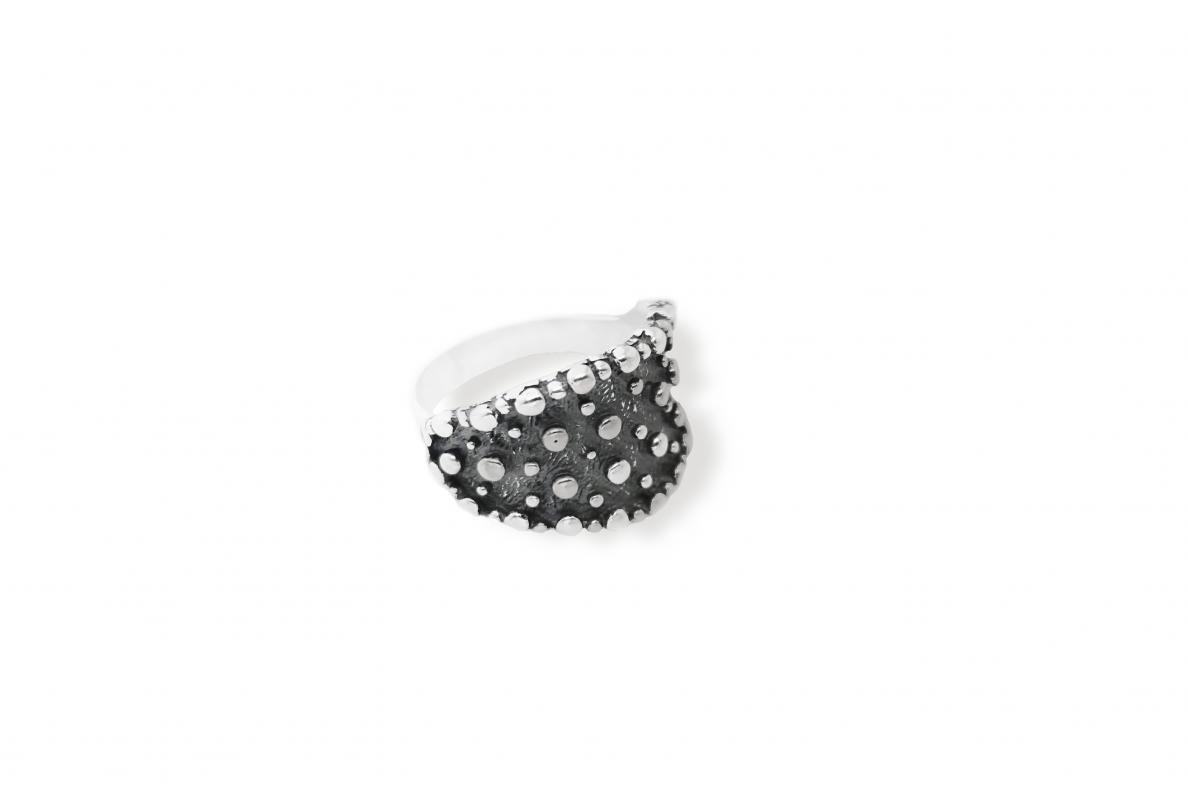 Sterling Silver Ring Z1197300570 2 Sterling Silver Ring Z1197300570 2