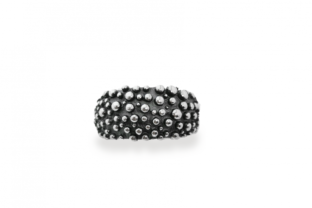 Sterling Silver Ring Z1961300580 2 Sterling Silver Ring Z1961300580 2