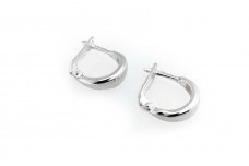 Sterling Silver Earrings A2986350220