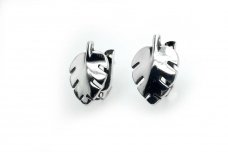 Sterling Silver Earrings A3315400340
