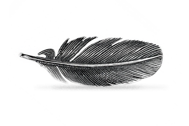 Sidabrinė segė