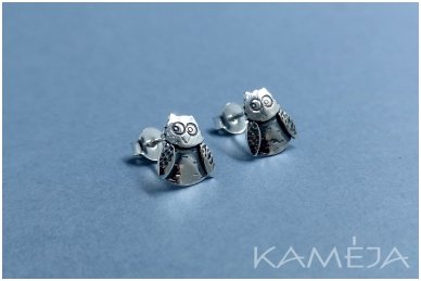Sterling Silver Owls A2704500140 1