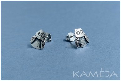 Sterling Silver Owls A2704500140