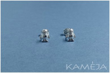 Sterling Silver Owls A2134500130
