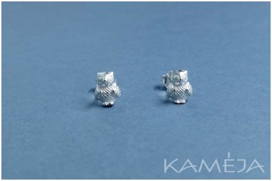 Sterling Silver Owls A2133500140