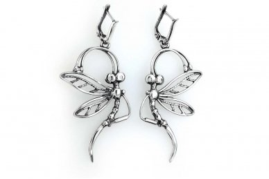Sterling Silver Earrings A1619300880
