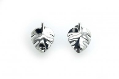 Sterling Silver Earrings A3315400340 1