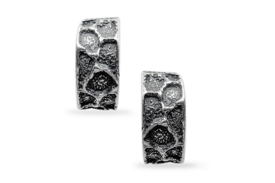 Silver earrings 1