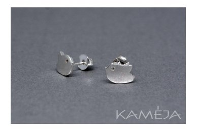 Sterling Silver Earrings A2782500120