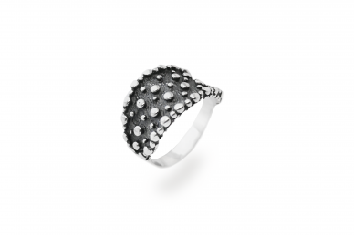 Sterling Silver Ring Z1197300570 Sterling Silver Ring Z1197300570