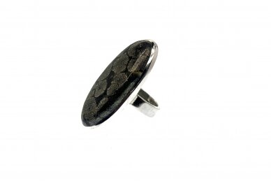 Exclusive ring with ammonite stone 1