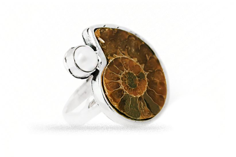 Exclusive ring - Shell wit Pearl 1 Exclusive ring - Shell wit Pearl 1