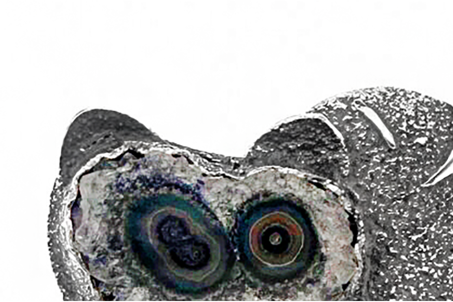 Exclusive brooch - The little raccoon 1